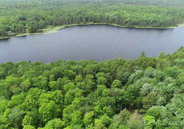 Homes for sale in Republic, MI | Parcel 1 Grant Lake Rd, Republic, MI 49879 | MLS# 50213497