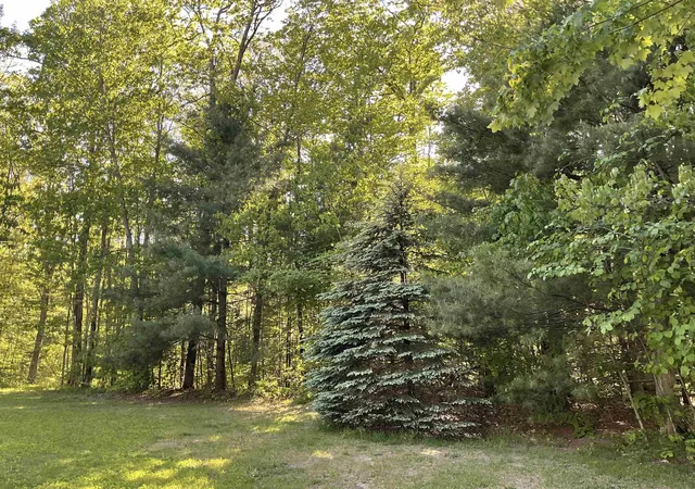 Homes for sale in Harrison, MI | 3300 E Arnold Lake Rd, Harrison, MI 48625 | MLS# 80070549