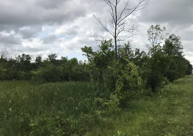Homes for sale in Cedar Springs, MI | 14551 Algoma Ave, Cedar Springs, MI 49319 | MLS# 70512370