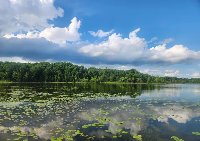 Photo 3 of Land for sale at Tbd Winding Wood Rd, Farwell, MI 48622 | MLS# 50215472 | Listing updated on 2026-08-27