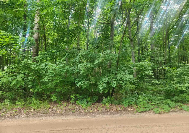 Photo 3 of Land for sale at Tbd Winding Wood Rd, Farwell, MI 48622 | MLS# 50215472 | Listing updated on 2026-08-27