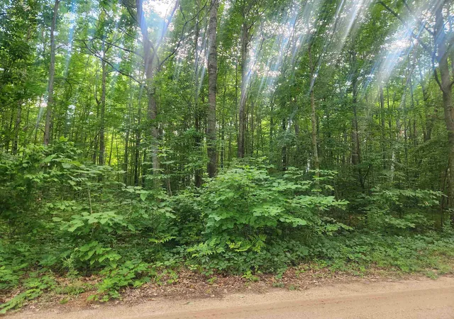 Photo 4 of Land for sale at Tbd Winding Wood Rd, Farwell, MI 48622 | MLS# 50215472 | Listing updated on 2026-08-27