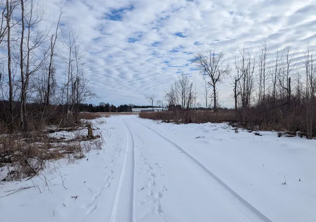 2nd image of N/a Swenson Rd, Au Gres, MI 48703 | MLS# 80053969