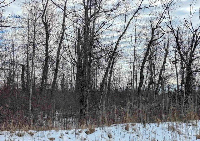 4th image of N/A Swenson Rd, Au Gres, MI 48703 | MLS# 80053969