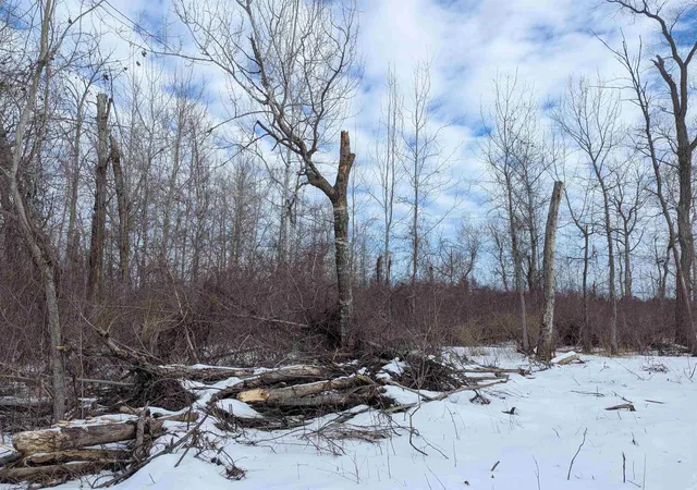 5th image of N/A Swenson Rd, Au Gres, MI 48703 | MLS# 80053969