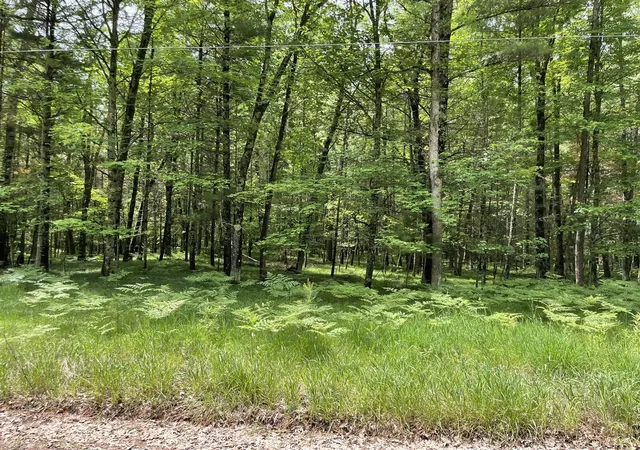 Homes for sale in Irons, MI | 8725 W River Rd, Irons, MI 49644 | MLS# 70538407