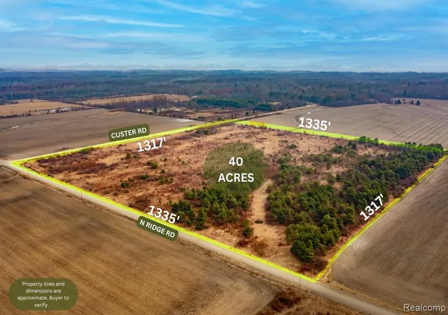 Homes for sale in Carsonville, MI | Vacant Land Custer Rd, Carsonville, MI 48419 | MLS# 60978445