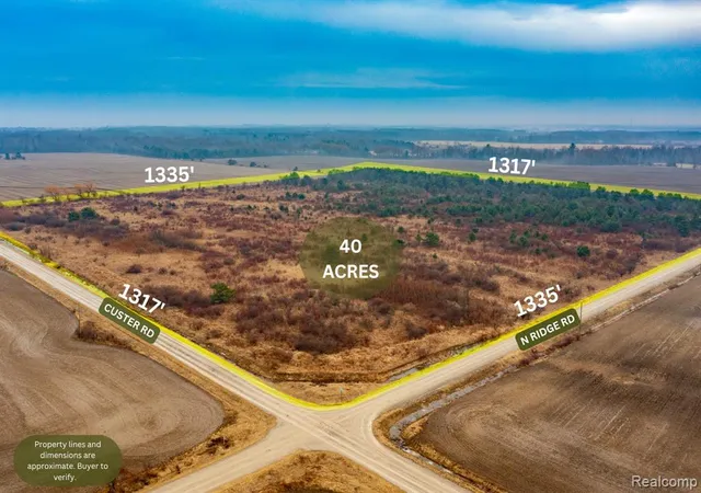 Homes for sale in Carsonville, MI | Vacant Land Custer Rd, Carsonville, MI 48419 | MLS# 60978445