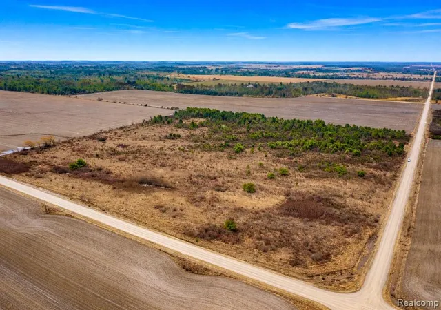 Homes for sale in Carsonville, MI | Vacant Land Custer Rd, Carsonville, MI 48419 | MLS# 60978445