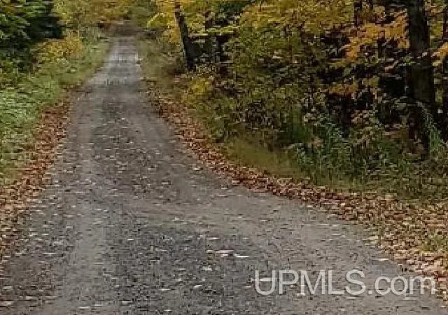 Homes for sale in Iron Mountain, MI | Tbd Walt's Road Road, Iron Mountain, MI 49801 | MLS# 50213910