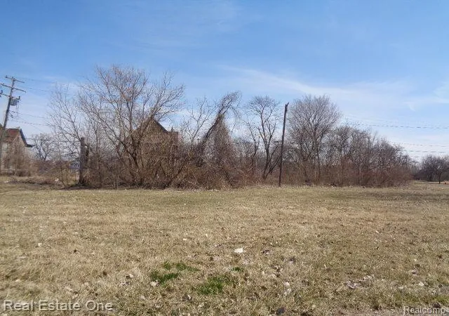 Photo 1 of Land for sale at 570 Concord St, Detroit, MI 48207 | MLS# 60199482 | Listing updated on 2026-01-21