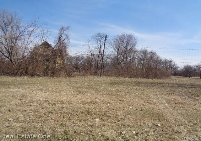 Photo 2 of Land for sale at 570 Concord St, Detroit, MI 48207 | MLS# 60199482 | Listing updated on 2026-01-21