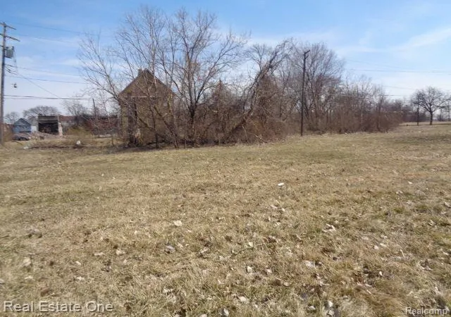 Photo 3 of Land for sale at 570 Concord St, Detroit, MI 48207 | MLS# 60199482 | Listing updated on 2026-01-21
