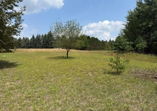 Photo 3 of Land for sale at Lot 101 Westchester Dr, Gladwin, MI 48624 | MLS# 50217821 | Listing updated on 2026-09-02