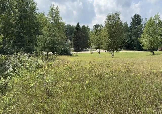 Photo 3 of Land for sale at Lot 101 Westchester Dr, Gladwin, MI 48624 | MLS# 50217821 | Listing updated on 2026-09-02