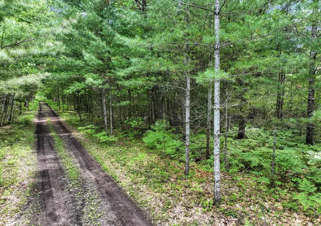 Homes for sale in Lake City, MI | Parcel C Seeley Rd, Lake City, MI 49651 | MLS# 80069646