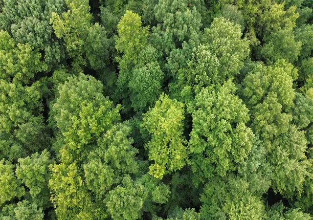 4th image of Tharp Lake Rd, Cassopolis, MI 49031 | MLS# 70553136