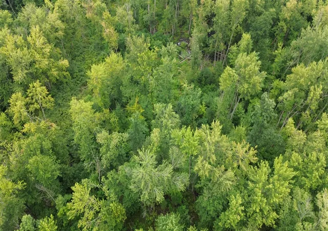 5th image of Tharp Lake Rd, Cassopolis, MI 49031 | MLS# 70553136