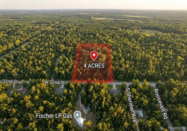 1st image of V/l 32nd St, Lake, MI 49304 | MLS# 61022919