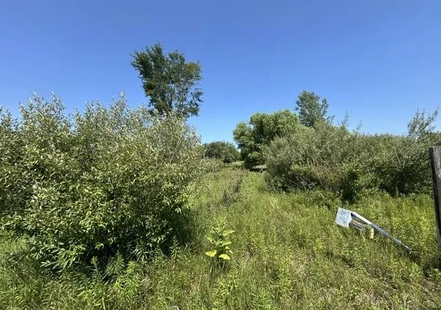 Photo 2 of Land for sale at 517 518 Shaftsbury Ct, Gladwin, MI 48624 | MLS# 50218678 | Listing updated on 2026-08-15