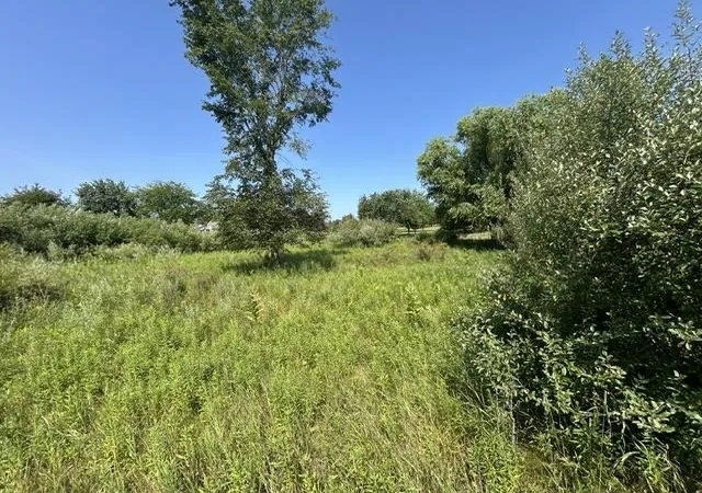 Photo 3 of Land for sale at 517 518 Shaftsbury Ct, Gladwin, MI 48624 | MLS# 50218678 | Listing updated on 2026-08-15