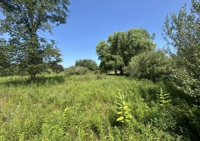 Photo 3 of Land for sale at 517-518 Shaftsbury Ct, Gladwin, MI 48624 | MLS# 50218678 | Listing updated on 2026-08-15