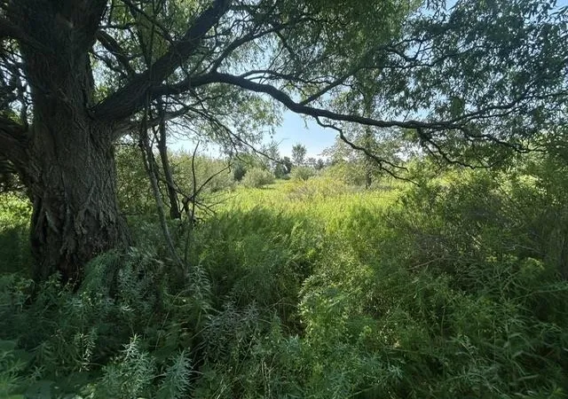 Photo 4 of Land for sale at 517-518 Shaftsbury Ct, Gladwin, MI 48624 | MLS# 50218678 | Listing updated on 2026-08-15