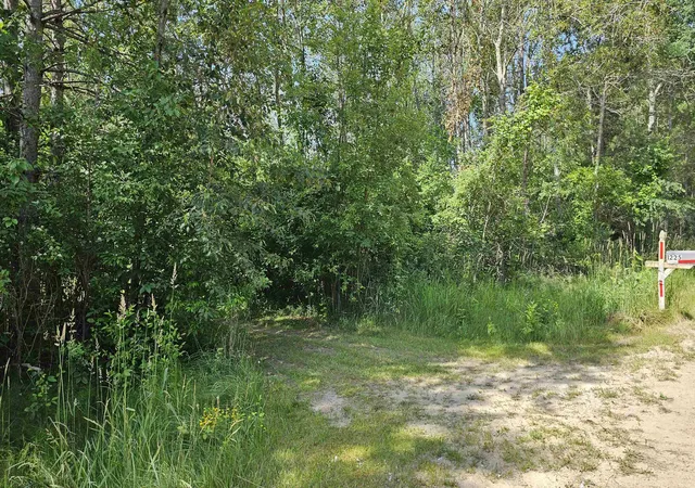 Photo 3 of Single family home for sale at 1225 W Sun Oil Rd, Gladwin, MI 48624 | MLS# 50213766 | Listing updated on 2026-07-27