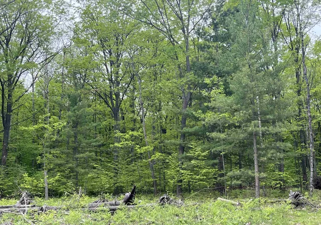 1st image of Parcel D Theron Rd, Traverse City, MI 49685 | MLS# 80066755