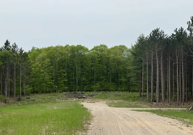 4th image of Parcel D Theron Rd, Traverse City, MI 49685 | MLS# 80066755