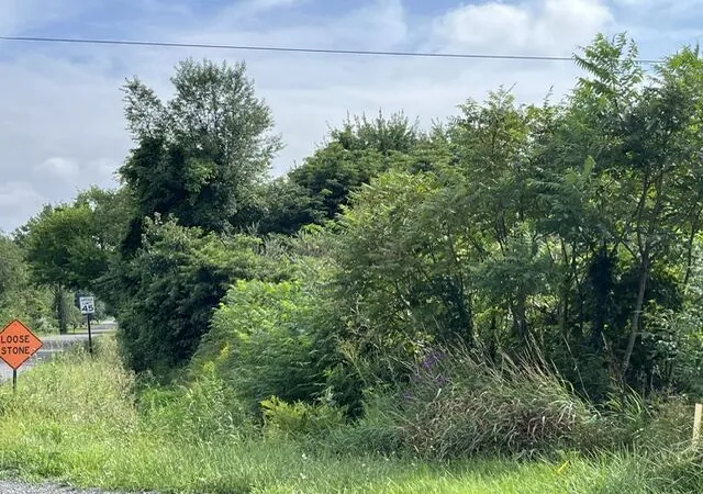 Photo 3 of Land for sale at Little Paw Lake Rd, Coloma, MI 49038 | MLS# 70552755 | Listing updated on 2026-08-23