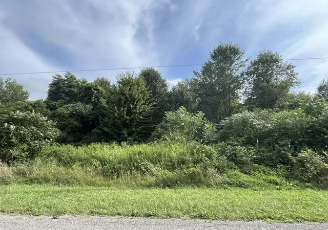 Photo 4 of Land for sale at Little Paw Lake Rd, Coloma, MI 49038 | MLS# 70552755 | Listing updated on 2026-08-23