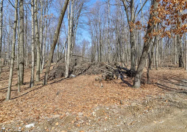 Photo 2 of Land for sale at 11280 Apache Wells Ct, Stanwood, MI 49346 | MLS# 70517467 | Listing updated on 2026-08-04
