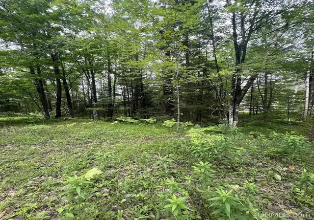 Homes for sale in Vulcan, MI | Tbd Waucedah Rd, Vulcan, MI 49892 | MLS# 50213527