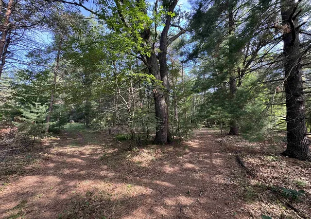 5th image of 2330 Michigan Ave, Prescott, MI 48756 | MLS# 80070972