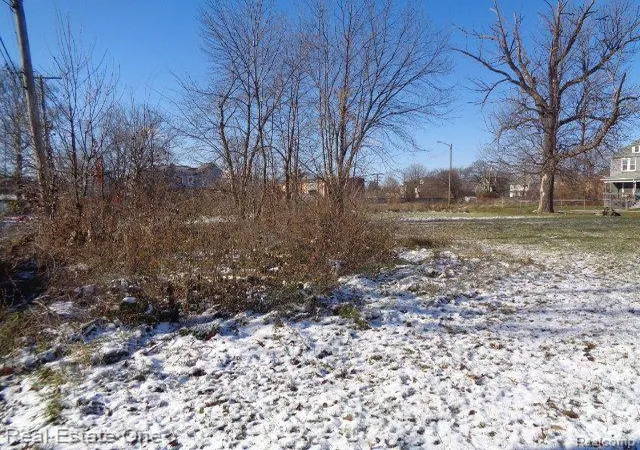 Photo 4 of Land for sale at 9039 3Rd St, Detroit, MI 48202 | MLS# 60276599 | Listing updated on 2026-01-21
