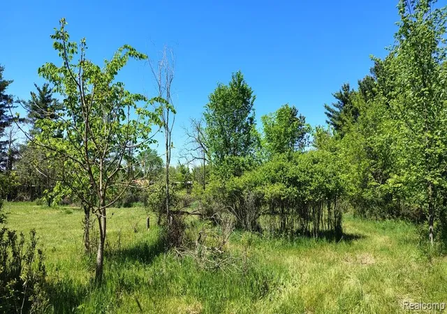 Homes for sale in Otter Lake, MI | B Hemingway Lake Rd, Otter Lake, MI 48464 | MLS# 60998673