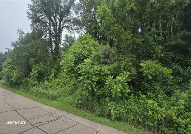 Land for sale at V/l Lakefront Dr, Delton, MI 49046 | MLS# 70539816