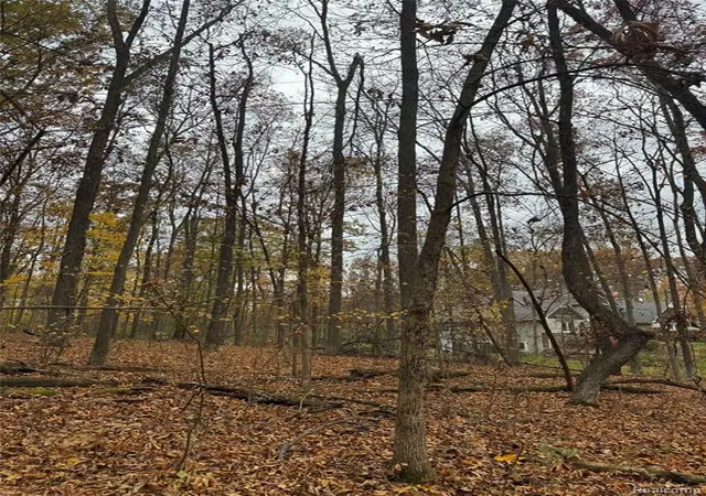 3rd image of 9776 Harbor Trail Dr, Whitmore Lake, MI 48189 | MLS# 61021056