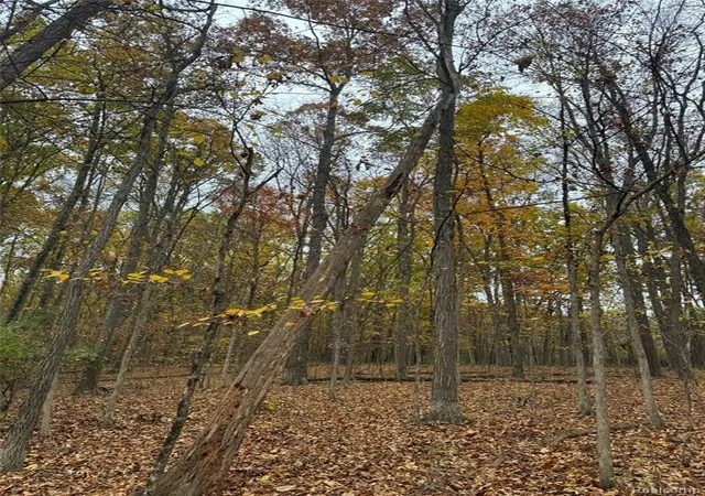 4th image of 9776 Harbor Trail Dr, Whitmore Lake, MI 48189 | MLS# 61021056