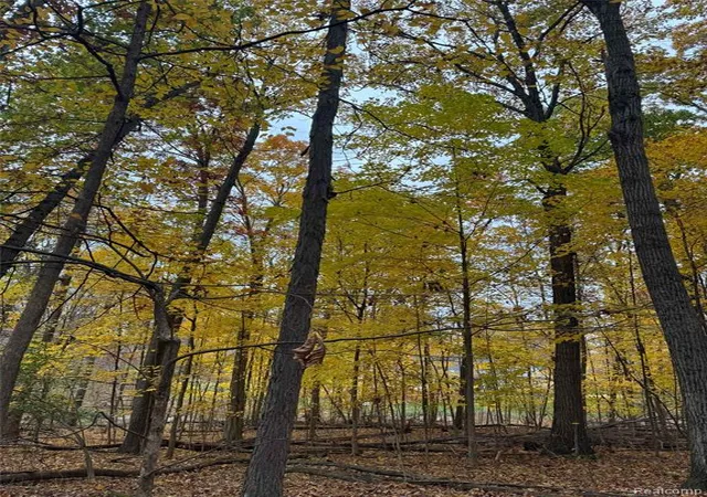 5th image of 9776 Harbor Trail Dr, Whitmore Lake, MI 48189 | MLS# 61021056