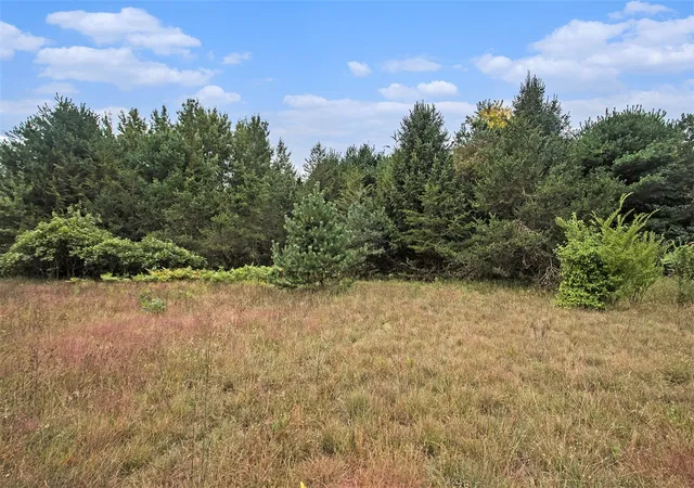 Homes for sale in Grand Junction, MI | 305 55Th St, Grand Junction, MI 49056 | MLS# 70492437