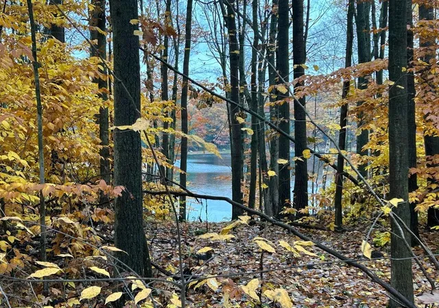 2nd image of Alpine Dr Dr, Reed City, MI 49677 | MLS# 70550494