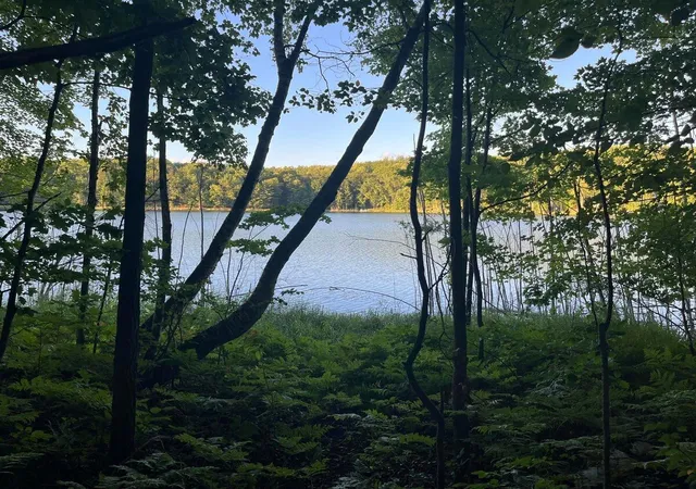 3rd image of Alpine Dr Dr, Reed City, MI 49677 | MLS# 70550494
