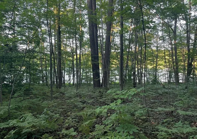 4th image of Alpine Dr Dr, Reed City, MI 49677 | MLS# 70550494