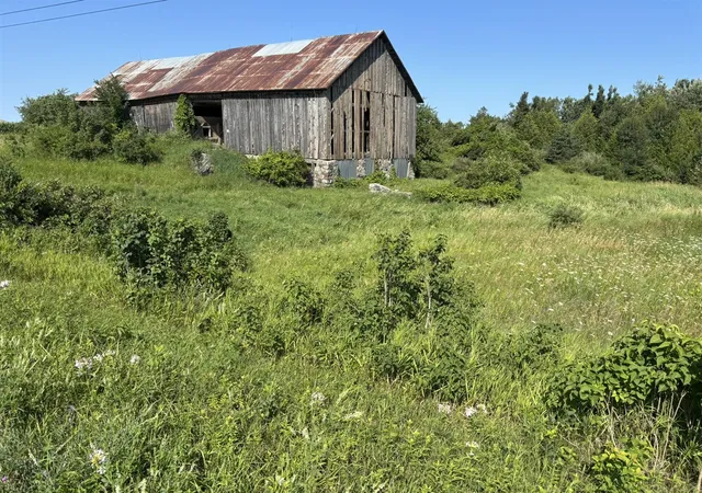 Photo 4 of Land for sale at Co Rd 441, Rogers City, MI 49779 | MLS# 70549252 | Listing updated on 2026-08-01