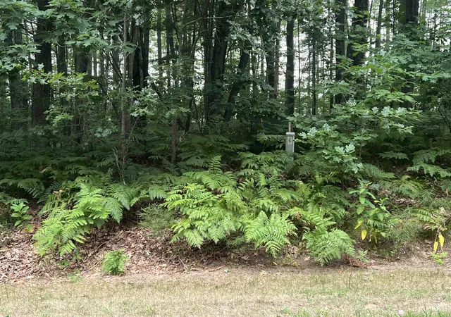 Photo 2 of Land for sale at Lot 10 Hawthorn Ave, Harrison, MI 48625 | MLS# 50215299 | Listing updated on 2026-07-17