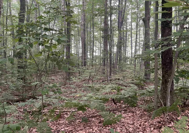 Photo 3 of Land for sale at Lot 10 Hawthorn Ave, Harrison, MI 48625 | MLS# 50215299 | Listing updated on 2026-07-17