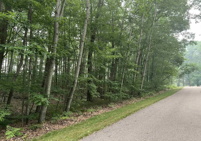 Photo 4 of Land for sale at Lot 10 Hawthorn Ave, Harrison, MI 48625 | MLS# 50215299 | Listing updated on 2026-07-17