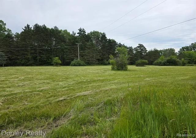 Homes for sale in Marlette, MI | 99999 Lorraine Street Street, Marlette, MI 48453 | MLS# 60976999